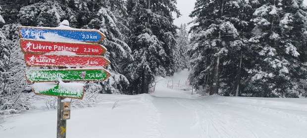 Ski de fond f&eacute;erique mais pas bien glissant 