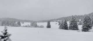 Ski de fond f&eacute;erique mais pas bien glissant 