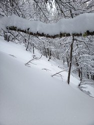 ca faisait longtemps