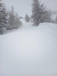 ca faisait longtemps