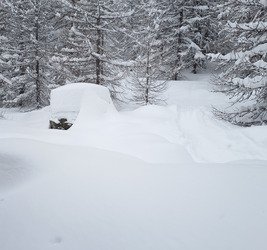 ca faisait longtemps