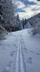 20 cm de plus ☃️☃️☃️