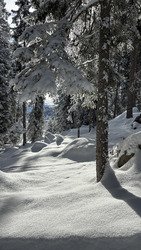 20 cm de plus ☃️☃️☃️