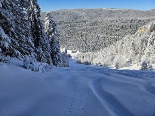 Lift, powder, walk, repeat