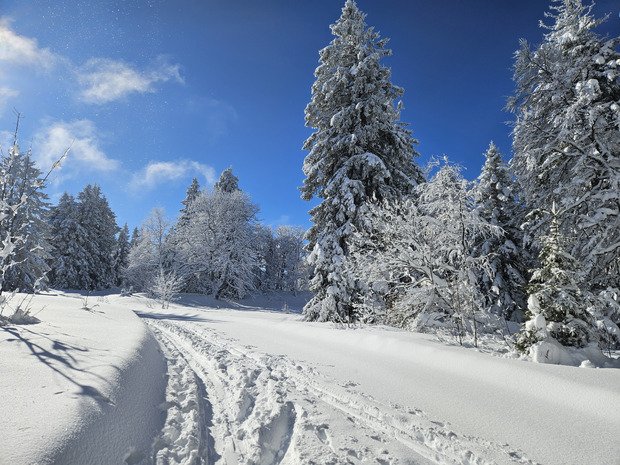 Lift, powder, walk, repeat