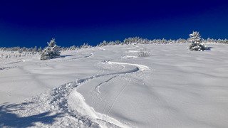C&rsquo;&eacute;tait pourtant magique!!!