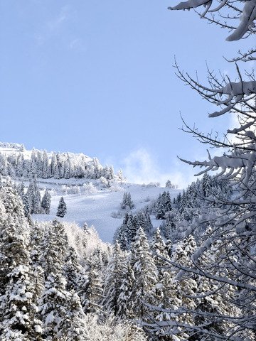 Pause du midi &agrave; La Scia