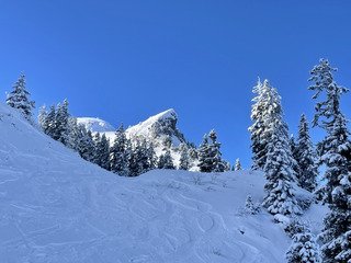 De la poudre sur le haut