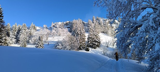 La Pin&eacute;a (Chartreuse) 
