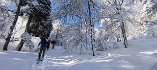 La Pin&eacute;a (Chartreuse) 