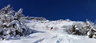 La Pin&eacute;a (Chartreuse) 