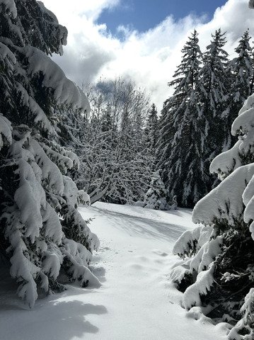Le retour au ski de rando! 