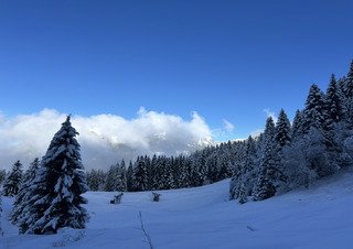 Le retour au ski de rando! 