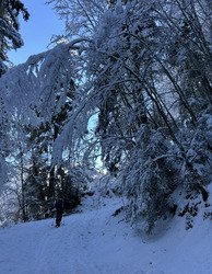 Le retour au ski de rando! 