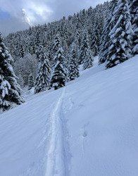 Le retour au ski de rando! 