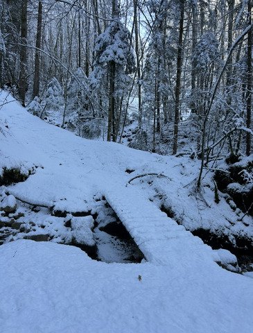 Le retour au ski de rando! 