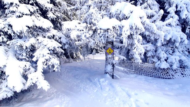 Ouf, il en restait encore un PEU...F ! Top cool !