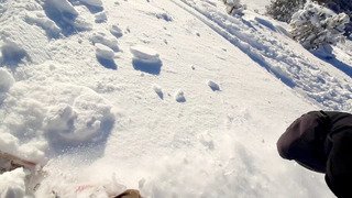 Ouf, il en restait encore un PEU...F ! Top cool !