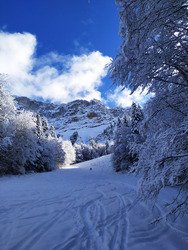 sortie f&eacute;&eacute;rie