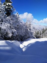 sortie f&eacute;&eacute;rie