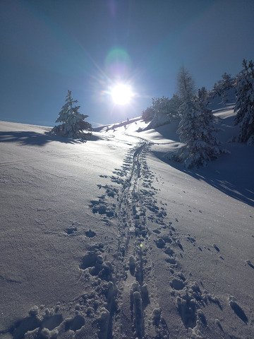 Jolie journ&eacute;e sur Ce&uuml;se