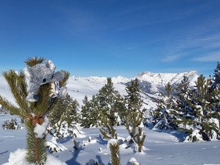 Jolie journ&eacute;e sur Ce&uuml;se