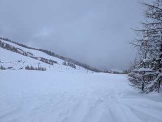 Gav&eacute; de neige