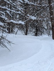 Gav&eacute; de neige