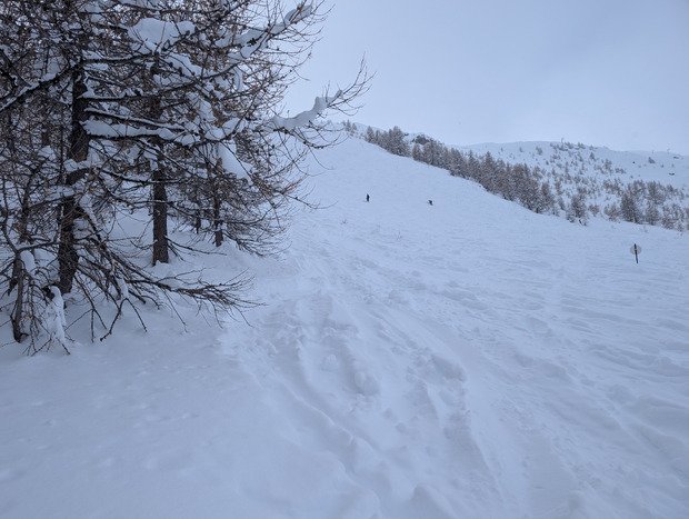 Gav&eacute; de neige