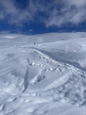 Petit sous-poudrage tous les jour