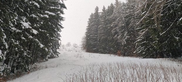 Poudre lourde et bonne frayeur 