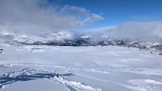 Journ&eacute;e mixte