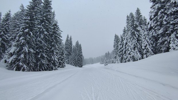 Skating poudreux 🌨️