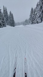 Skating poudreux 🌨️