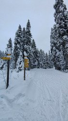 Skating poudreux 🌨️