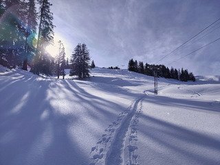 Janvier fut d&eacute;finitivement poudreux 