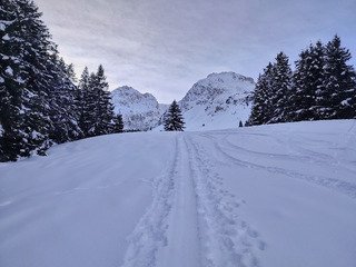 Janvier fut d&eacute;finitivement poudreux 