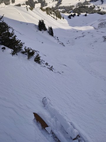 Janvier fut d&eacute;finitivement poudreux 