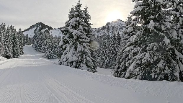 Des conditions de r&ecirc;ve &agrave; Praz-Lys-Sommand