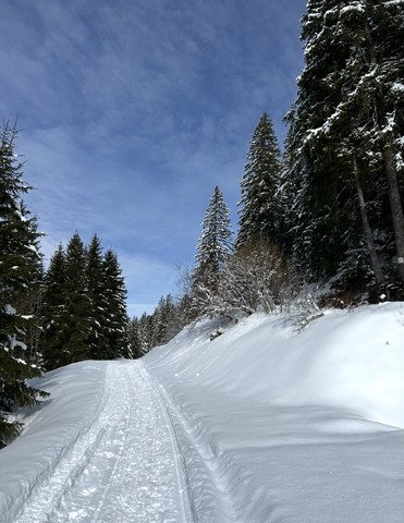 Journ&eacute;e rando raquettes 