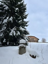 Journ&eacute;e rando raquettes 