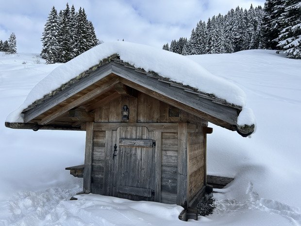 Journ&eacute;e rando raquettes 