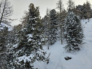 En haute Maurienne aussi il y en a !