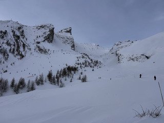 Du plaisir pour les spatules ❄️👌
