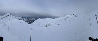 Du plaisir pour les spatules ❄️👌