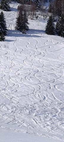 Another day in paradise