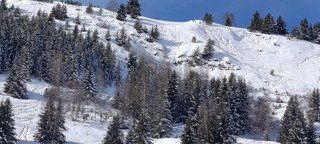 Another day in paradise