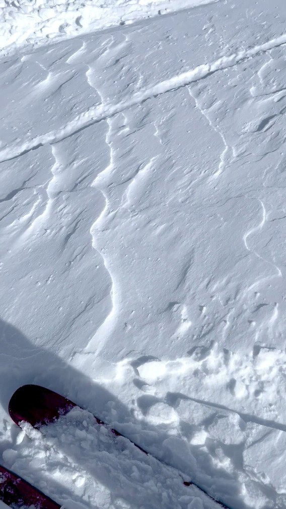 Du vent dans les voiles 