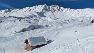 Va(r)s chercher bonheur !