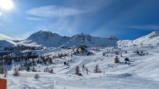 Va(r)s chercher bonheur !